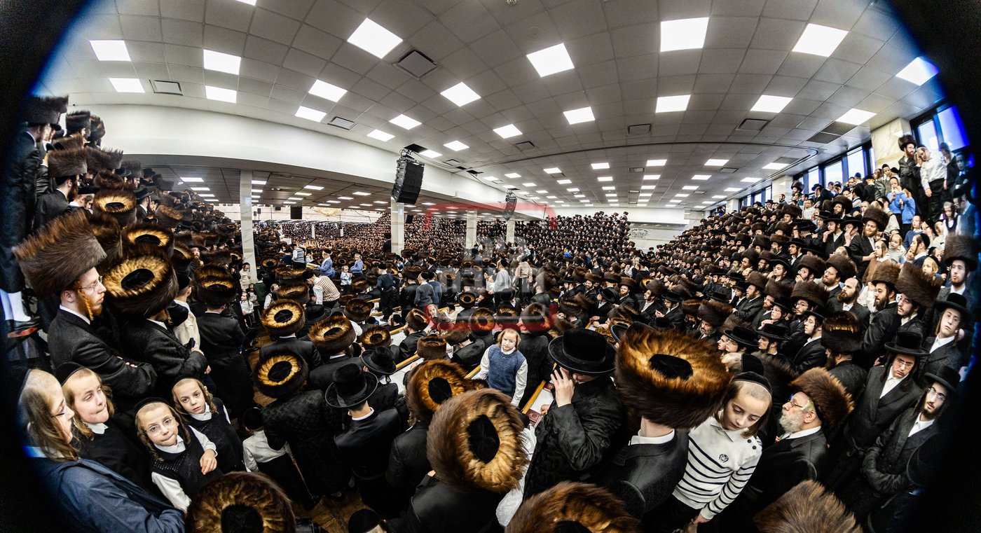 מעמד פדיון פטר חמור בסאטמר בהשתתפות האדמו"ר מסערדאהעלי