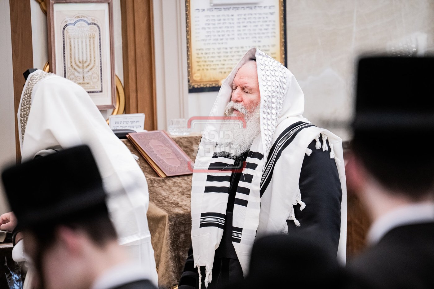האדמו"ר מבאבוב מתעטף בטלית לפני תפילת שחרית במונסי