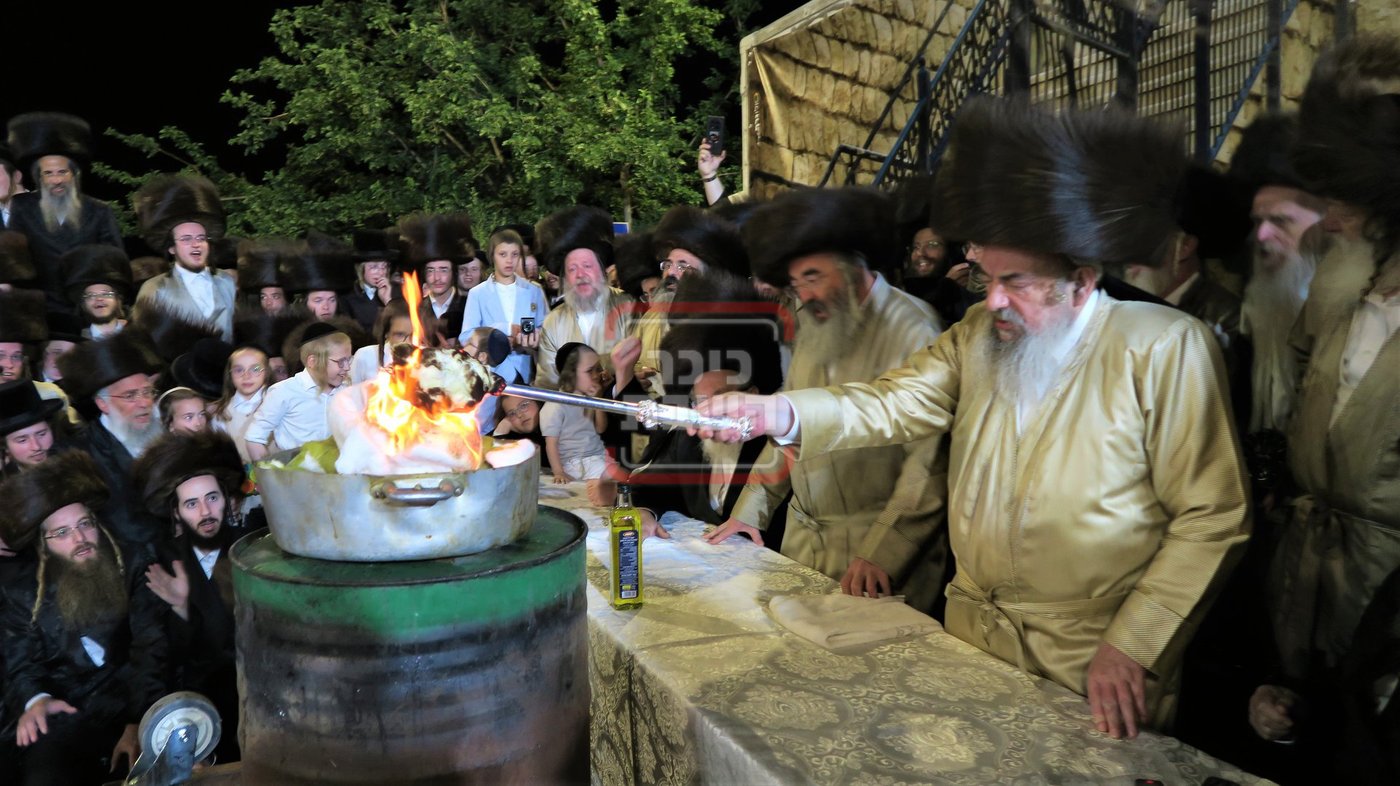 האדמו"ר מלעלוב שבת בהעלותך במירון