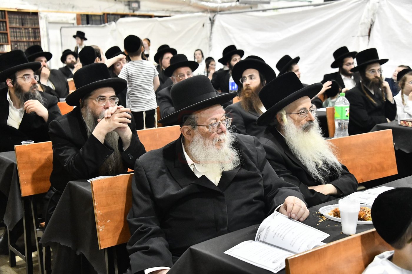 סיום חמשה חומשי תורה במכנובקא בעלזא