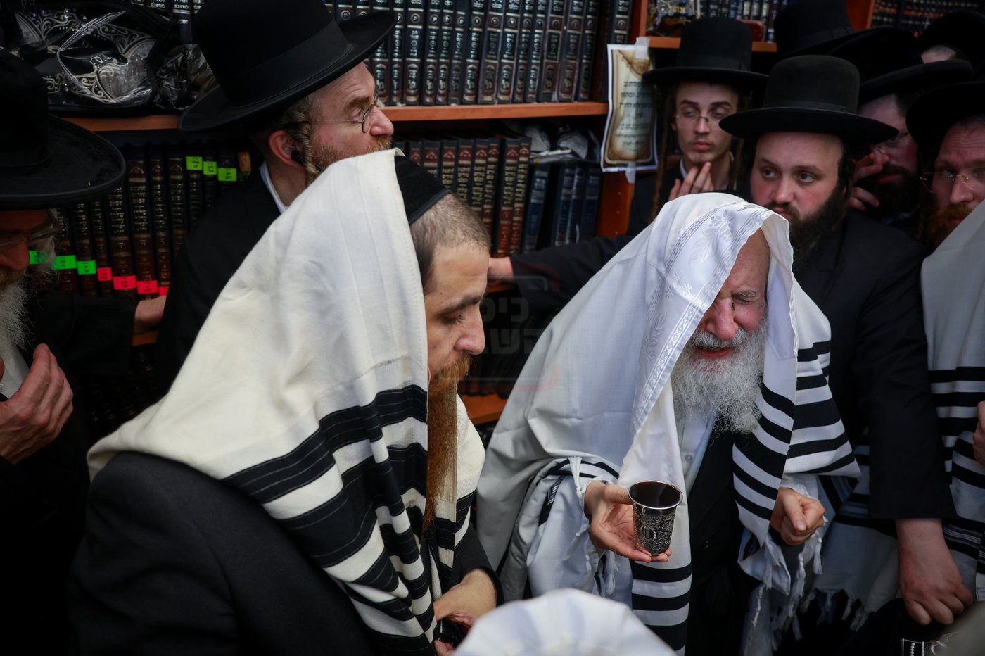 האדמו"ר מאמשינוב בברית בצפת