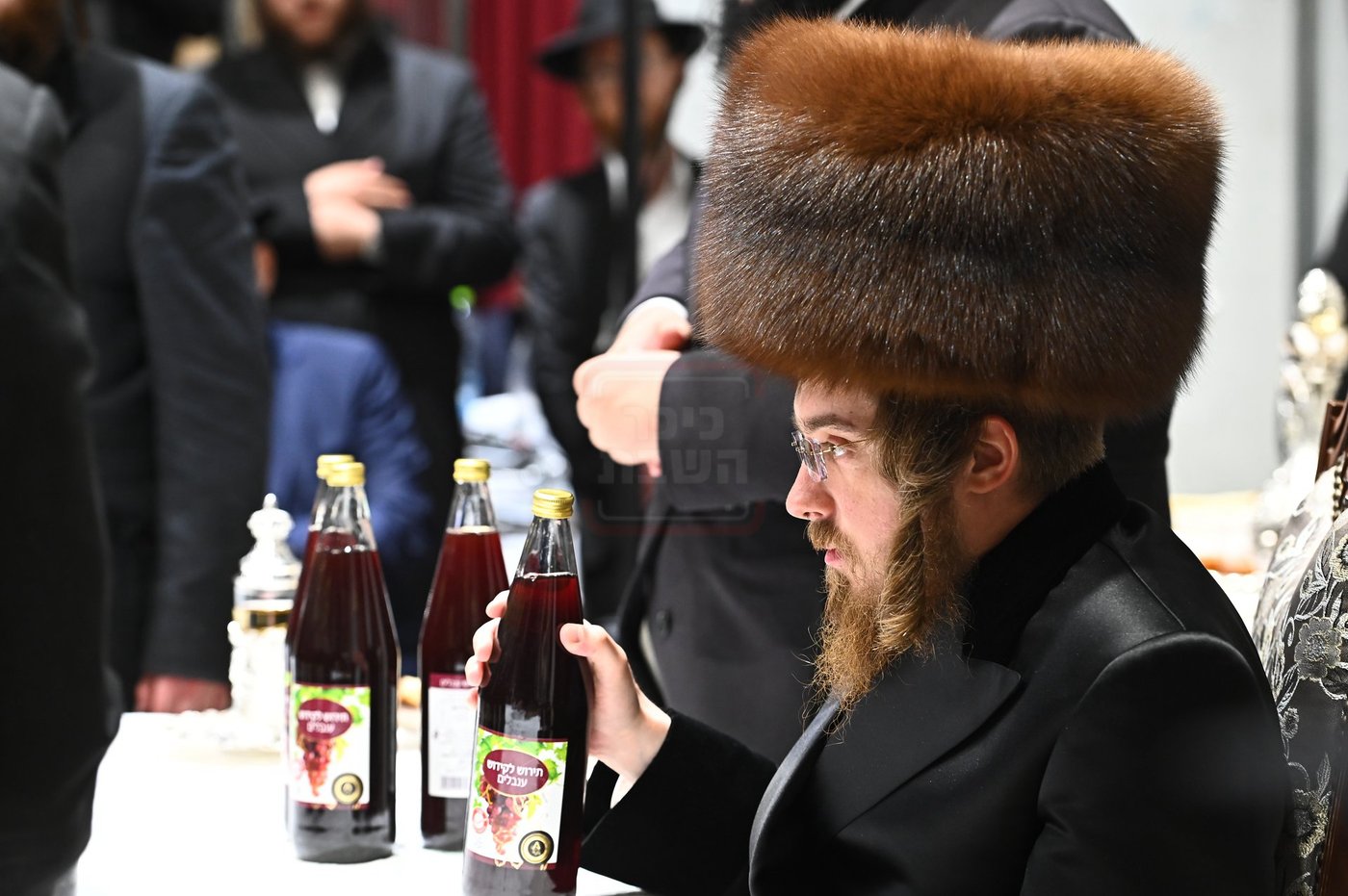 הילולא קדישא בסאדיגורה