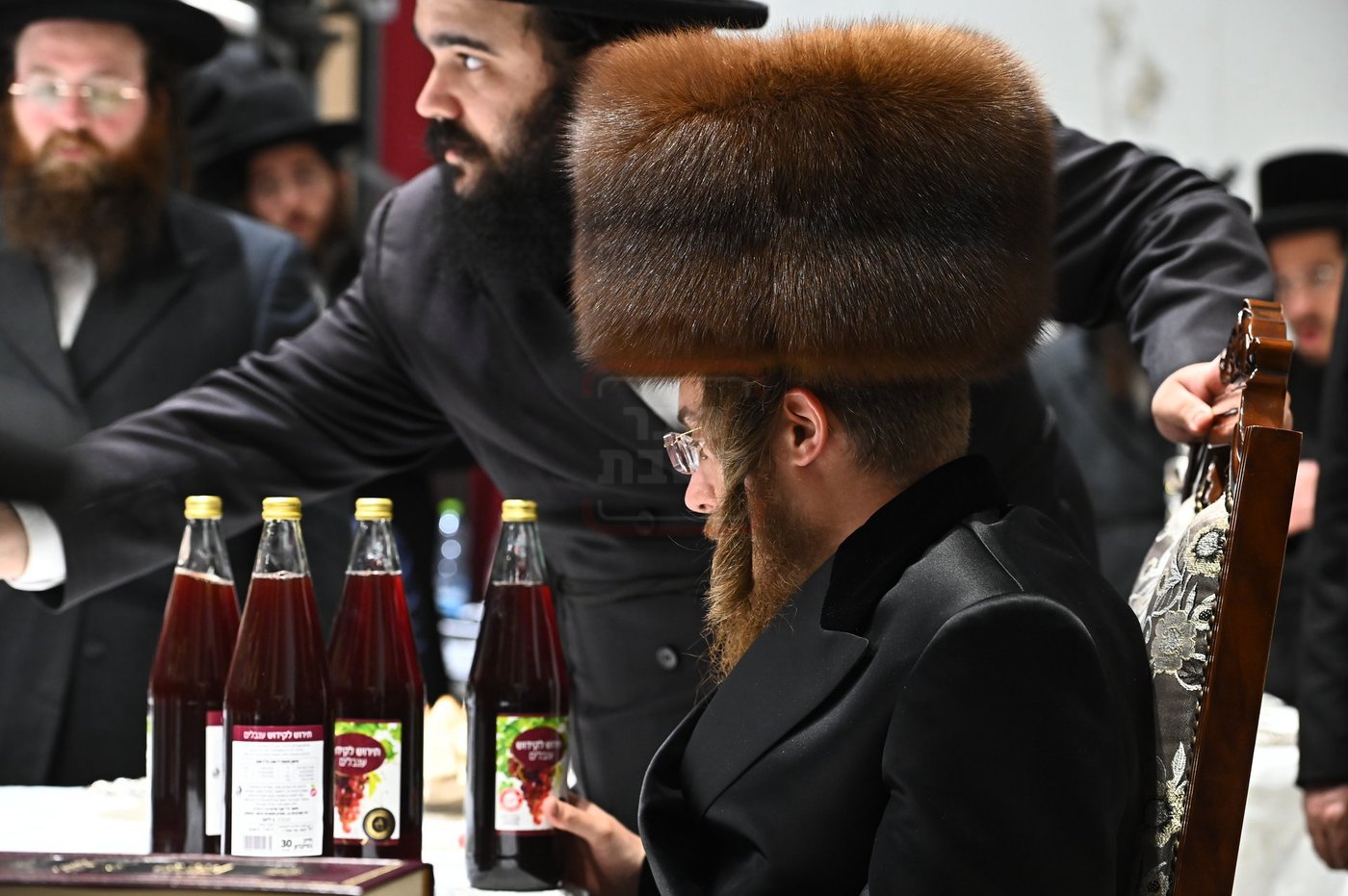 הילולא קדישא בסאדיגורה