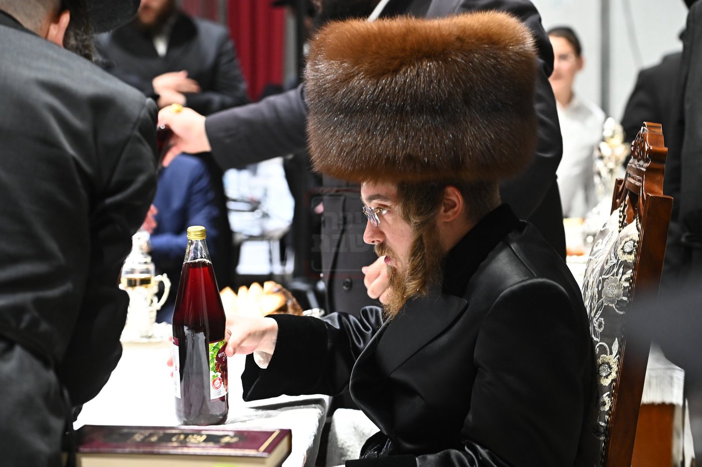 הילולא קדישא בסאדיגורה