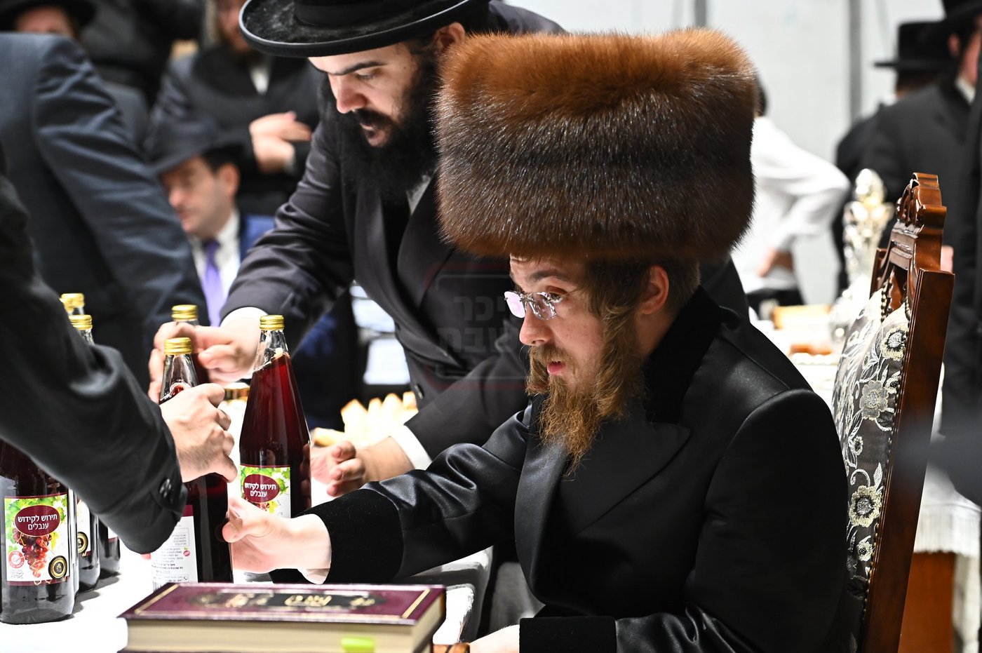 הילולא קדישא בסאדיגורה