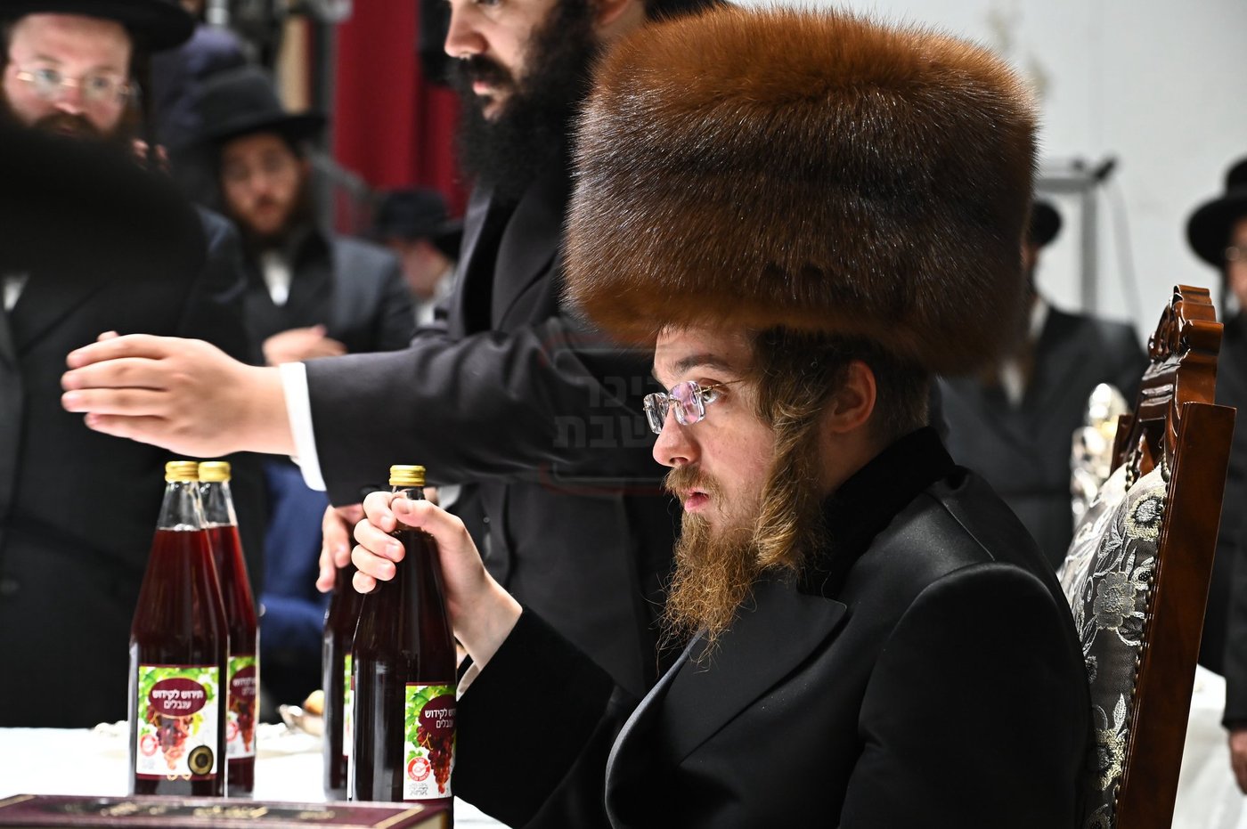 הילולא קדישא בסאדיגורה