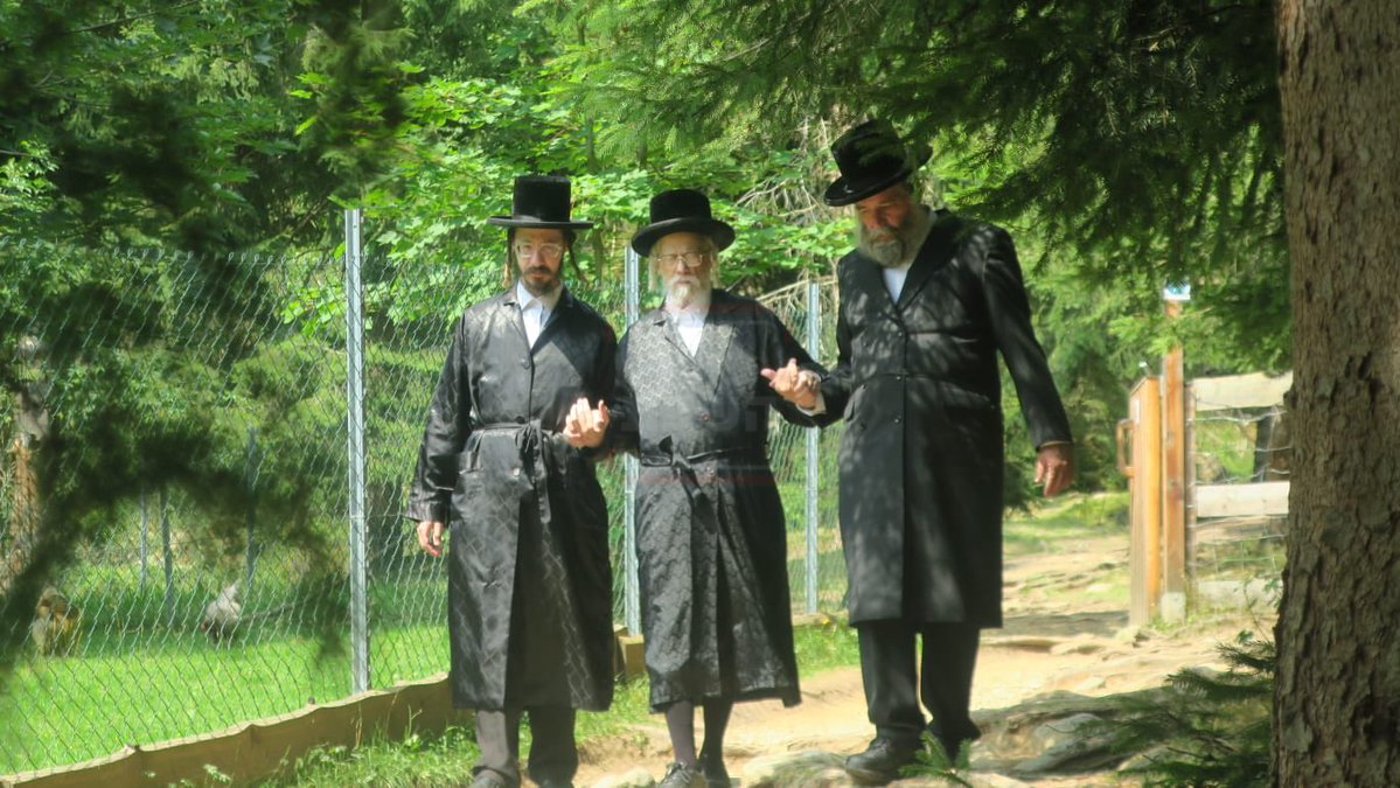 האדמו"ר מסערט ויז'ניץ בנאות דשא