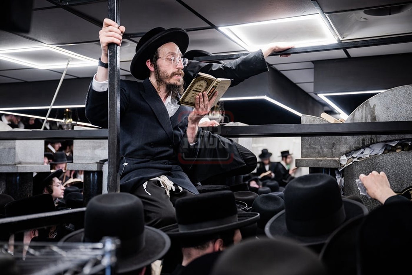 חסיד סאטמר בציון
