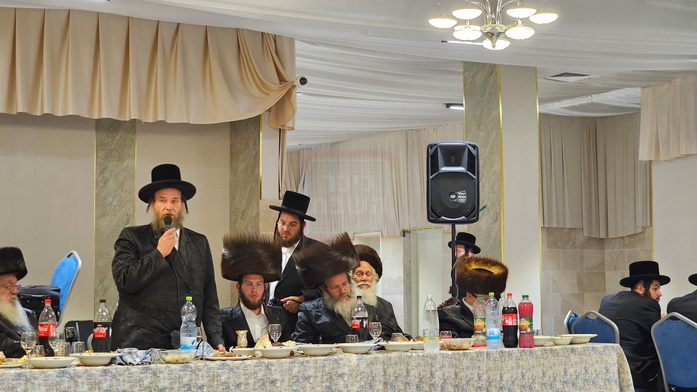 סנדרוביץ מאחורי אב"ד אלעד