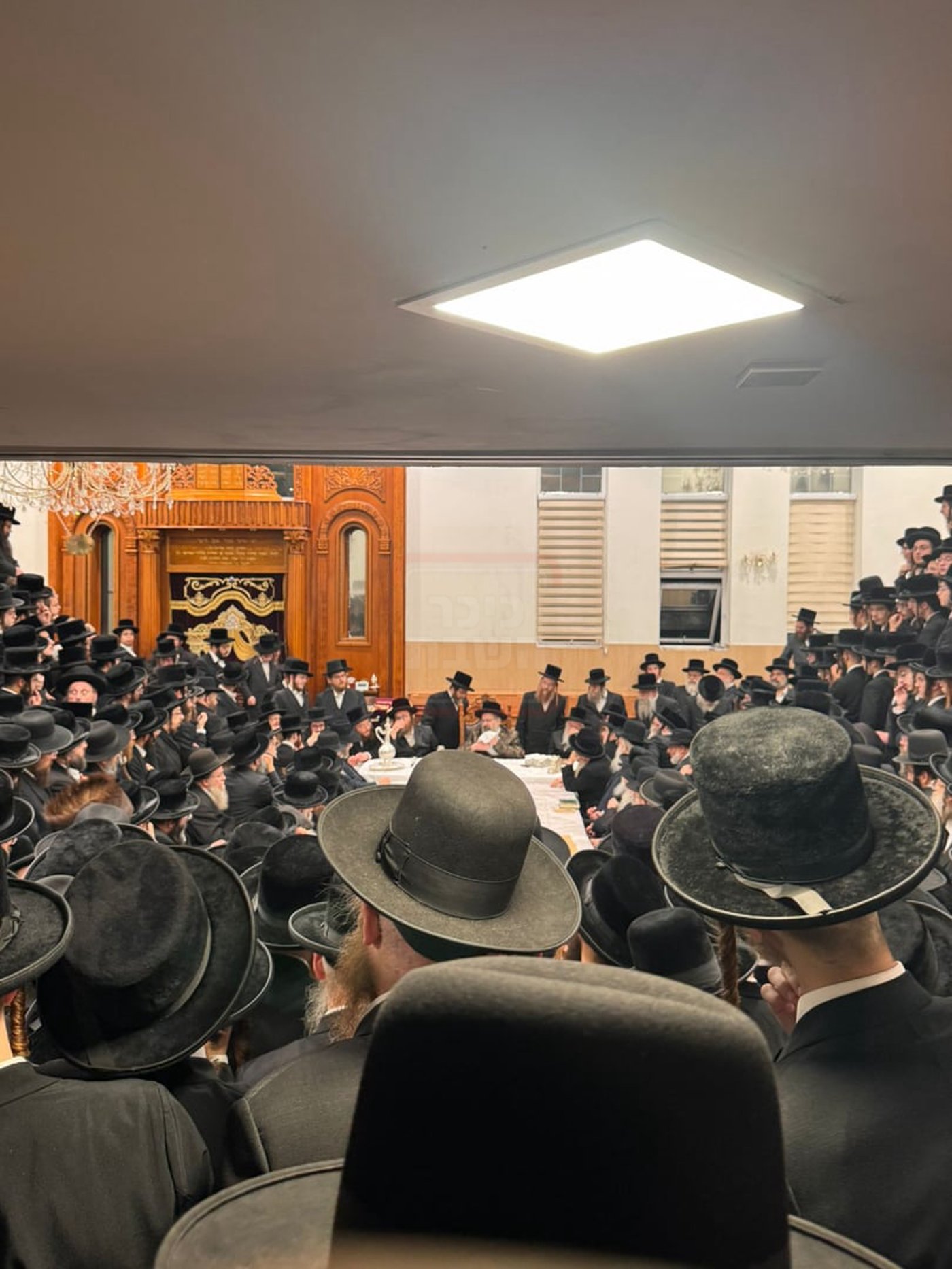 מעמד קבלת פנים לאדמו"ר מויז'ניץ לונדון