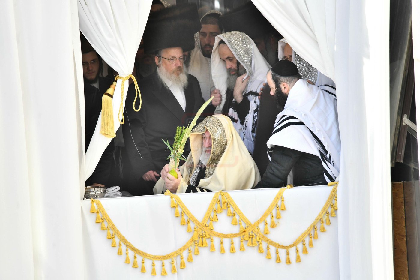 האדמו"ר מויז'ניץ בנענועים בהושענא רבה