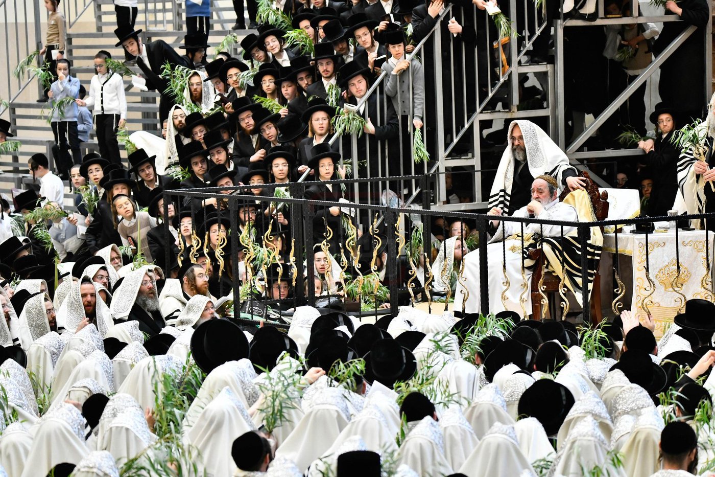 הושענא רבה בחצה"ק ויז'ניץ