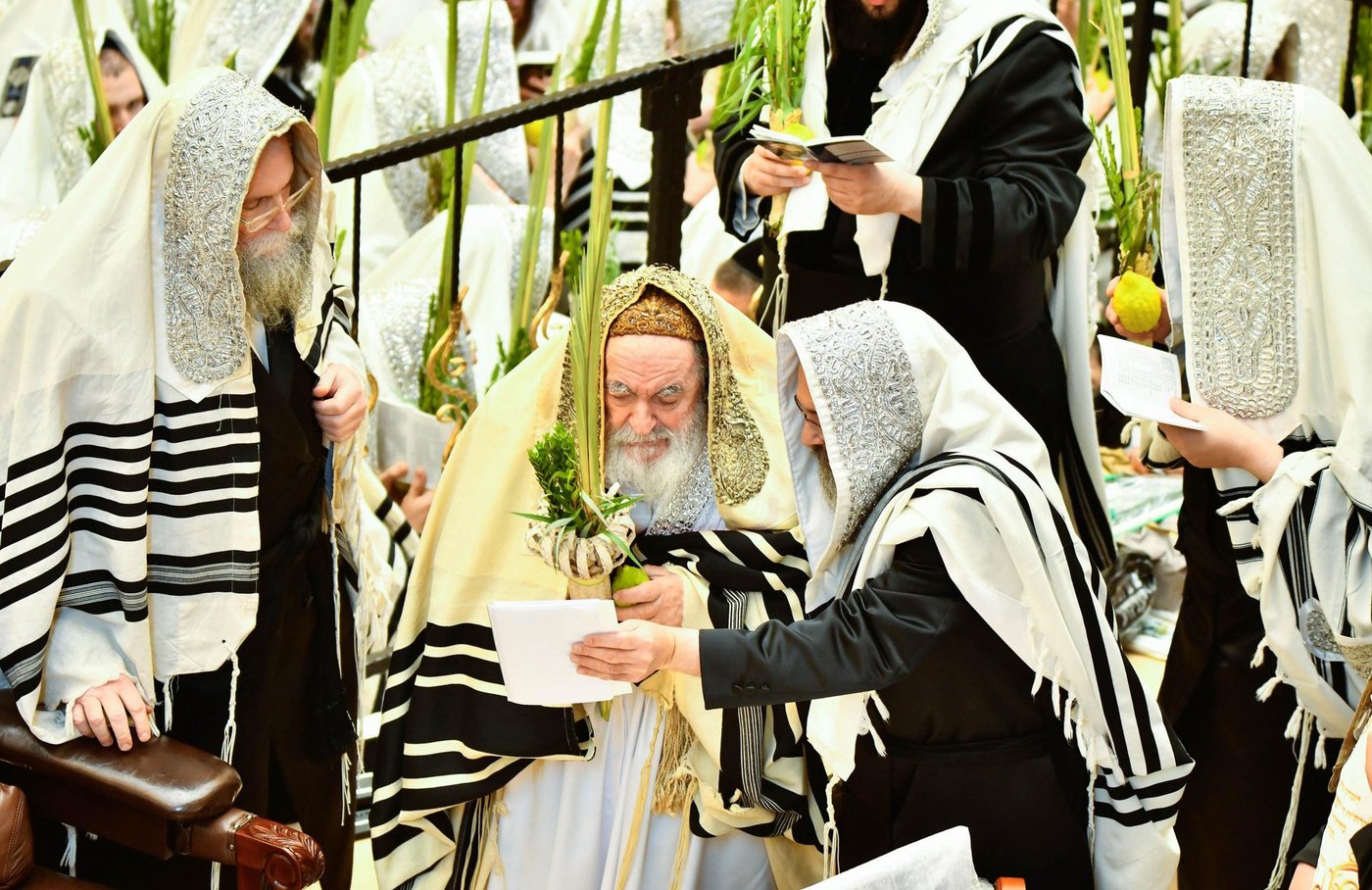 הושענא רבה בחצה"ק ויז'ניץ