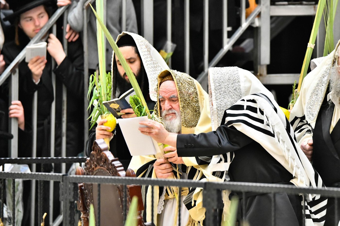 הושענא רבה בחצה"ק ויז'ניץ