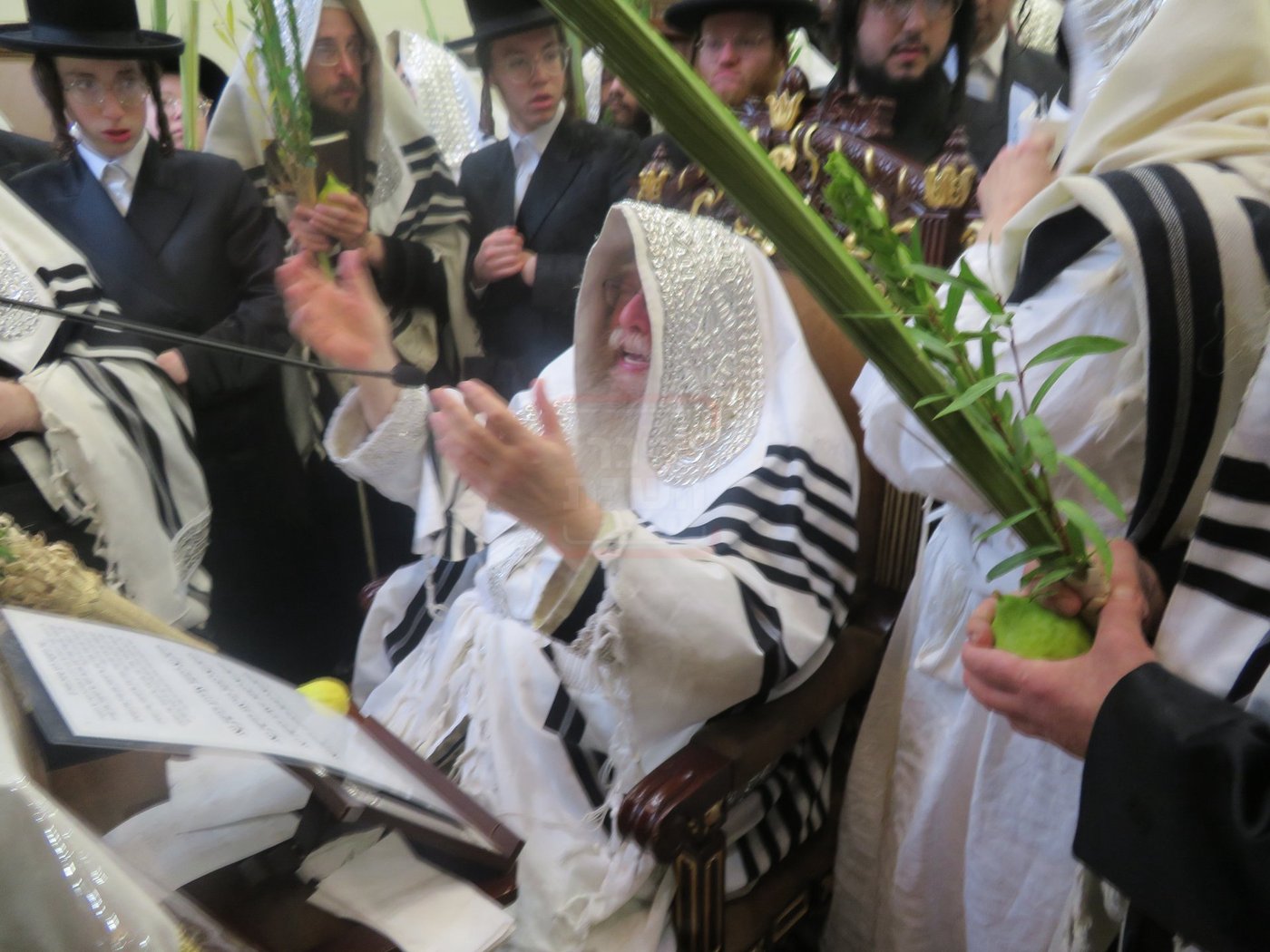 ירח האיתנים בחצה"ק ניקלשבורג
