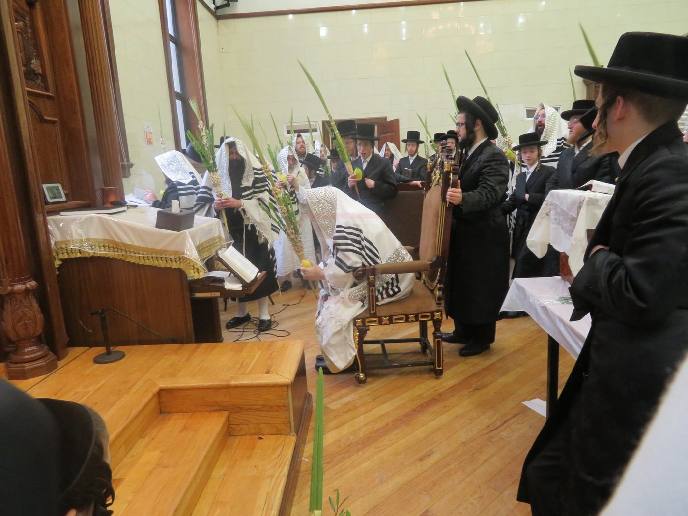 ירח האיתנים בחצה"ק ניקלשבורג