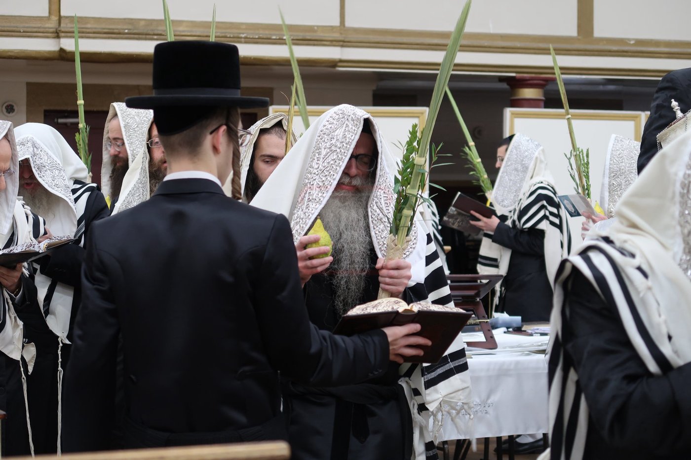 חג הסוכות ושמחת תורה בחצה"ק צאנז זוועהיל