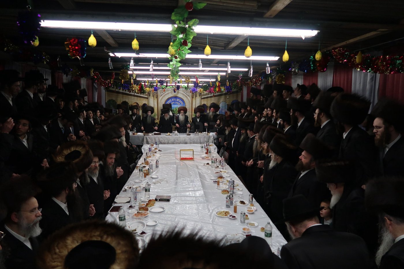 חג הסוכות ושמחת תורה בחצה"ק צאנז זוועהיל