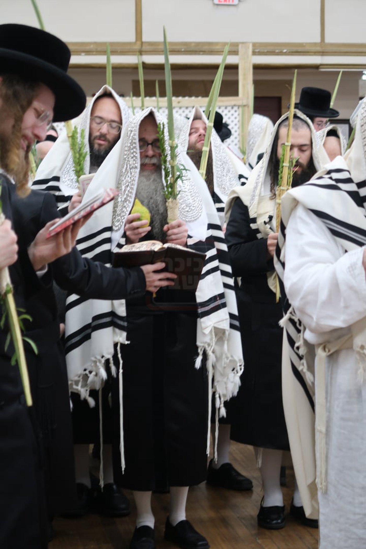 חג הסוכות ושמחת תורה בחצה"ק צאנז זוועהיל