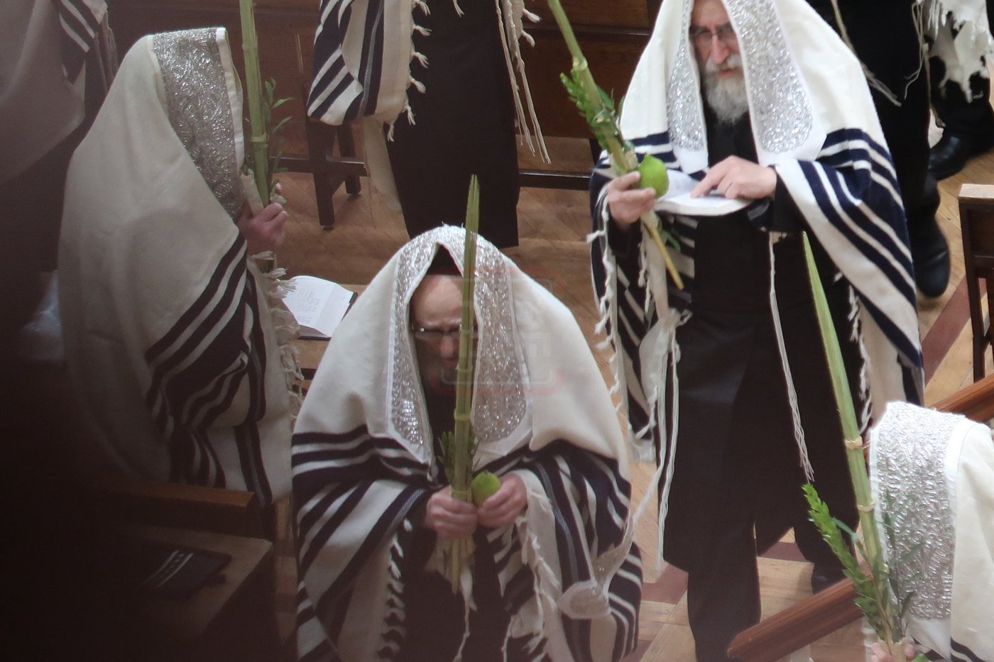 שמחת בית השואבה ונענועים בחצה''ק פאפא