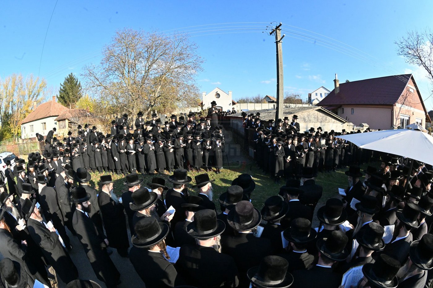 האדמו"ר מדארג בתפילה בציון הק' בדארג