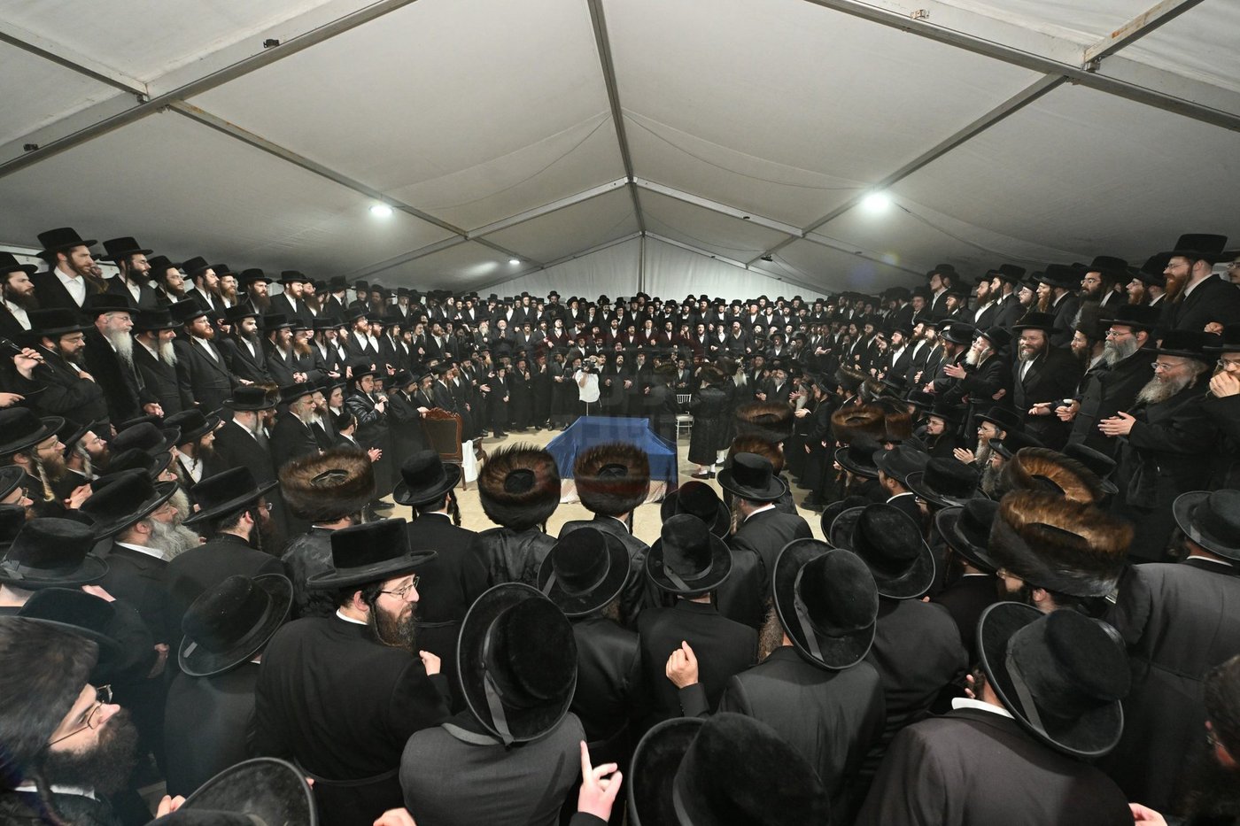 מעמד הכנסת ספר תורה בעיירת דארג