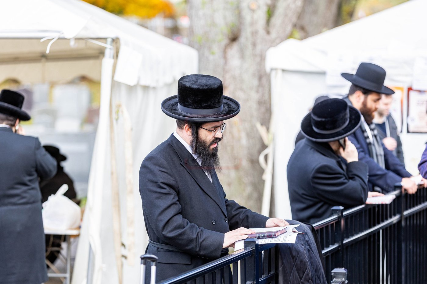 הילולת הרה"ק רבי אליהו יוסף מליניץ זי"ע בבאפעלאו, ניו יורק
