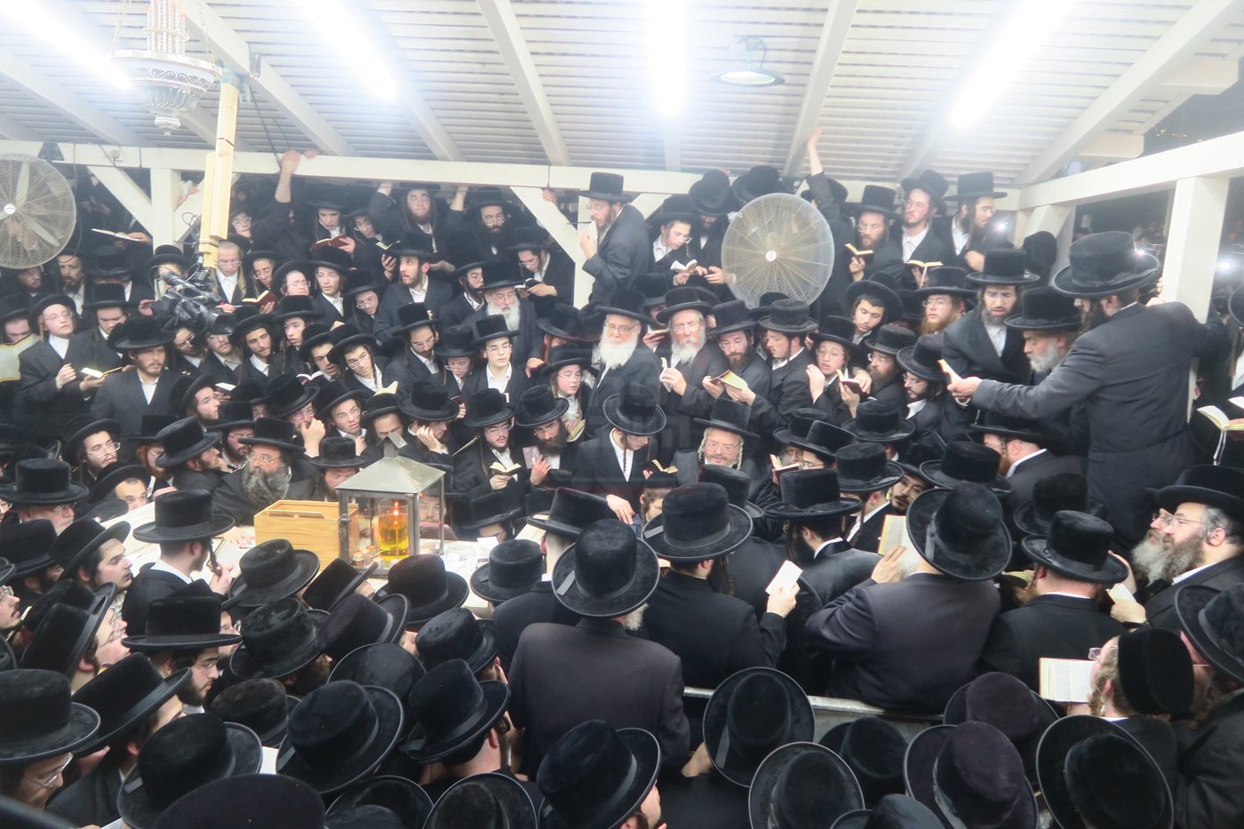 האדמו"ר מבעלזא בעליה לציון אביו זצ"ל בטבריה