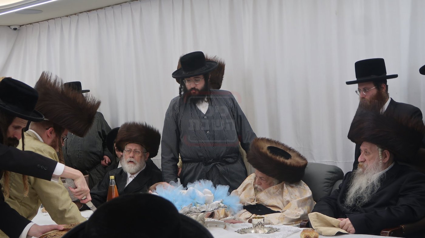 שמחת פדיון הבן בחצרות תולדות אברהם יצחק - טשארנאביל - קאלוב