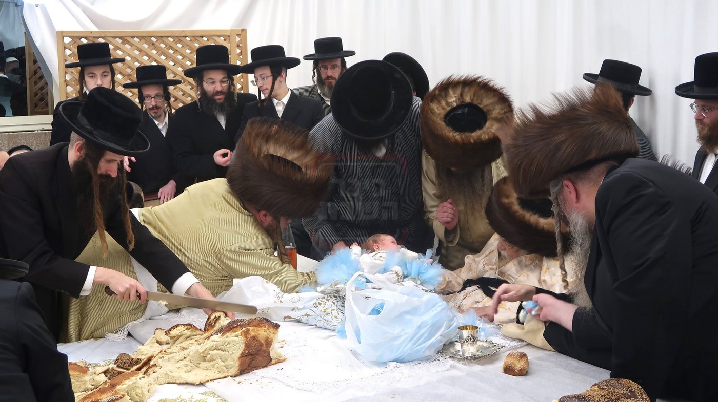 שמחת פדיון הבן בחצרות תולדות אברהם יצחק - טשארנאביל - קאלוב