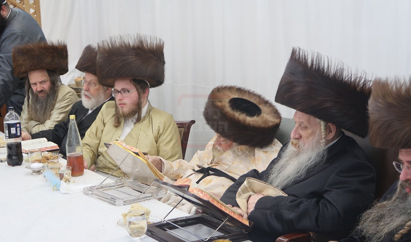 שמחת פדיון הבן בחצרות תולדות אברהם יצחק - טשארנאביל - קאלוב