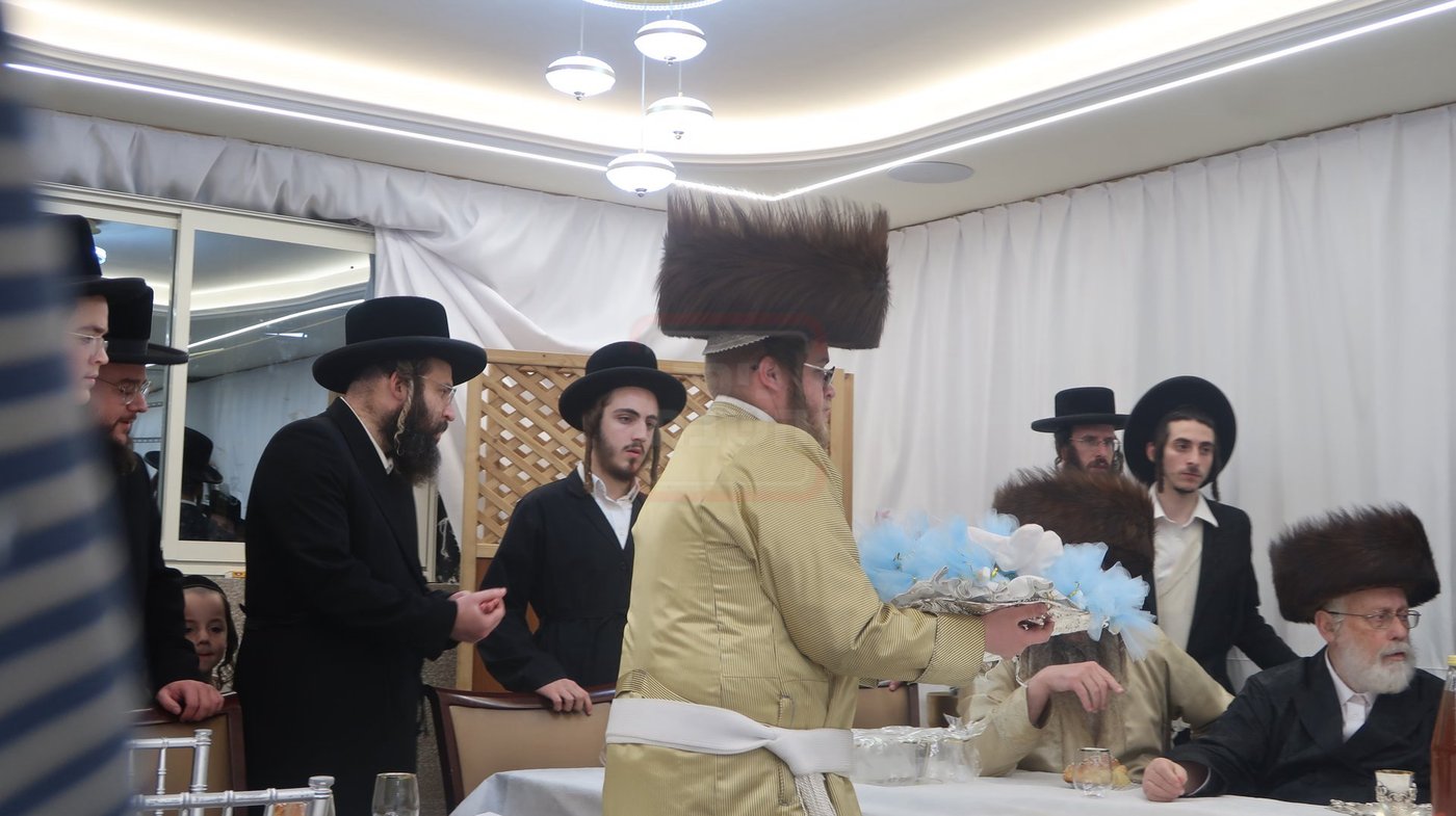 שמחת פדיון הבן בחצרות תולדות אברהם יצחק - טשארנאביל - קאלוב