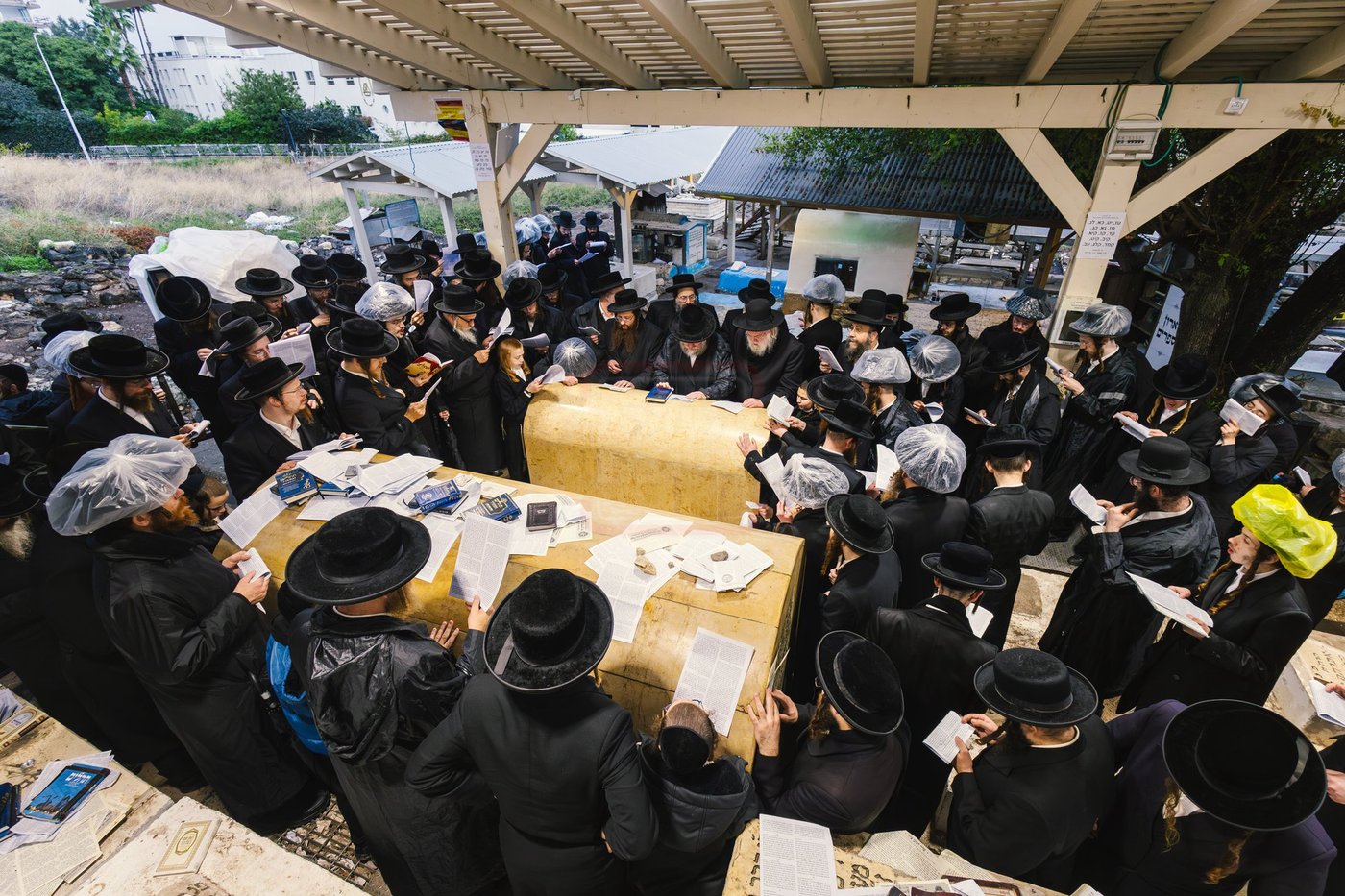 האדמו"ר מפינסק קרלין בטבריה