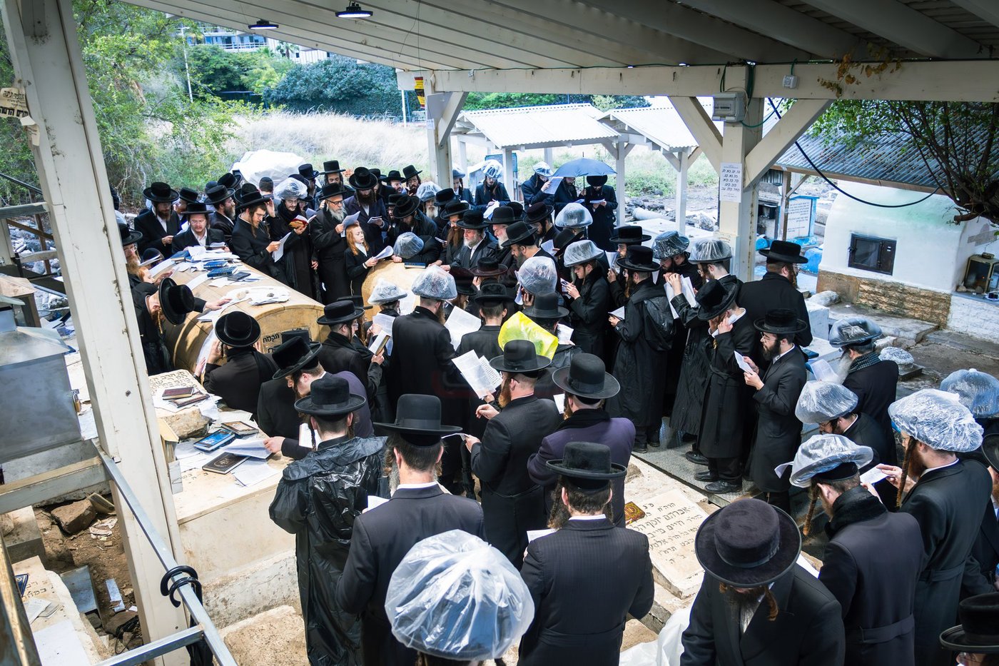 האדמו"ר מפינסק קרלין בטבריה