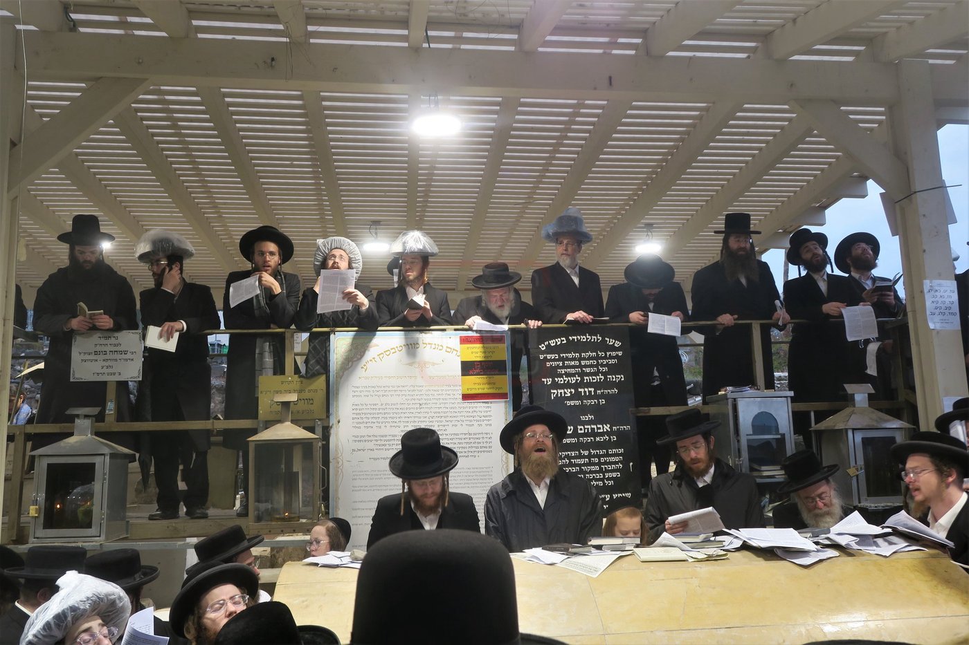 האדמו"ר מפינסק קרלין בטבריה