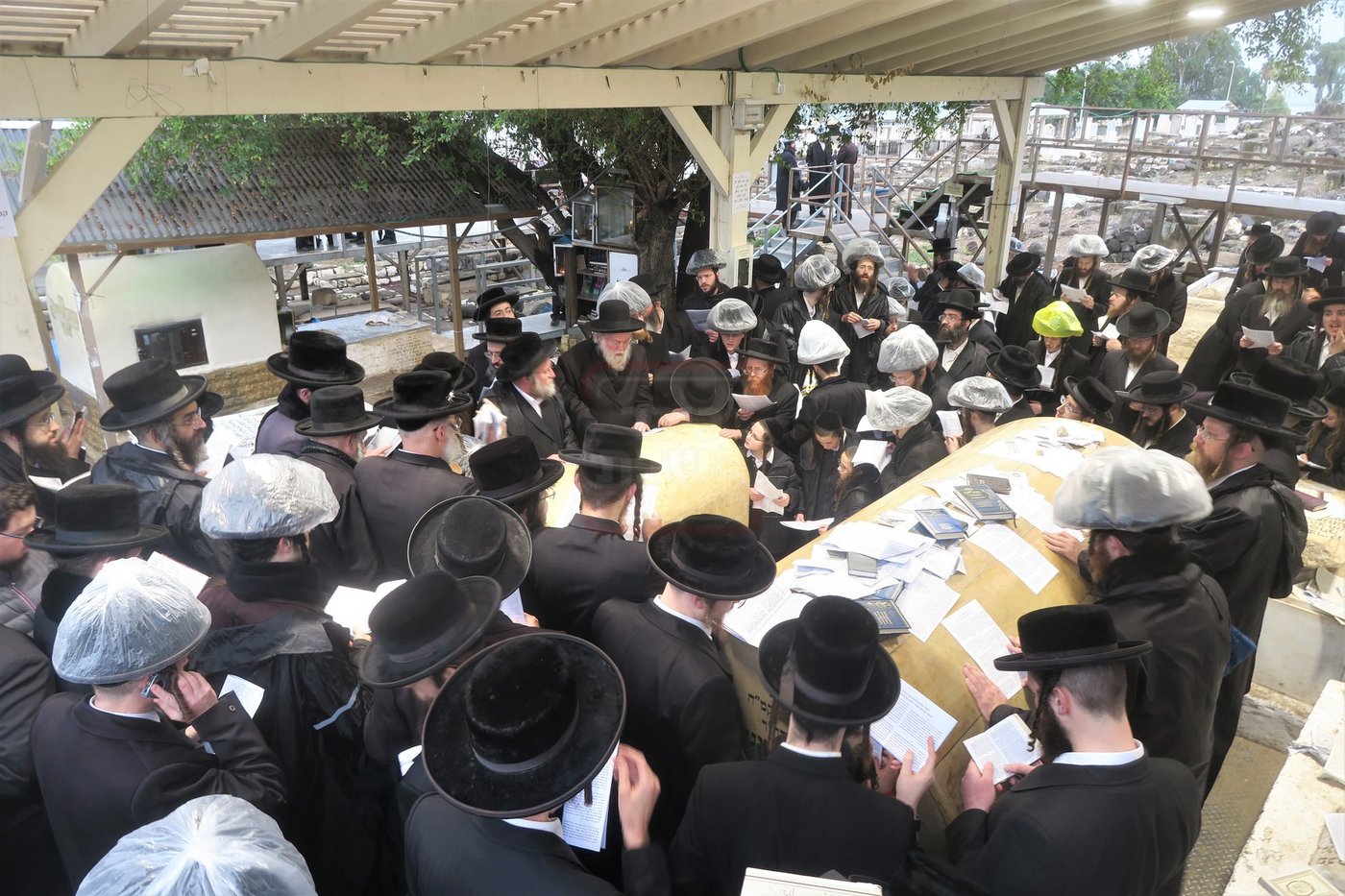 האדמו"ר מפינסק קרלין בטבריה