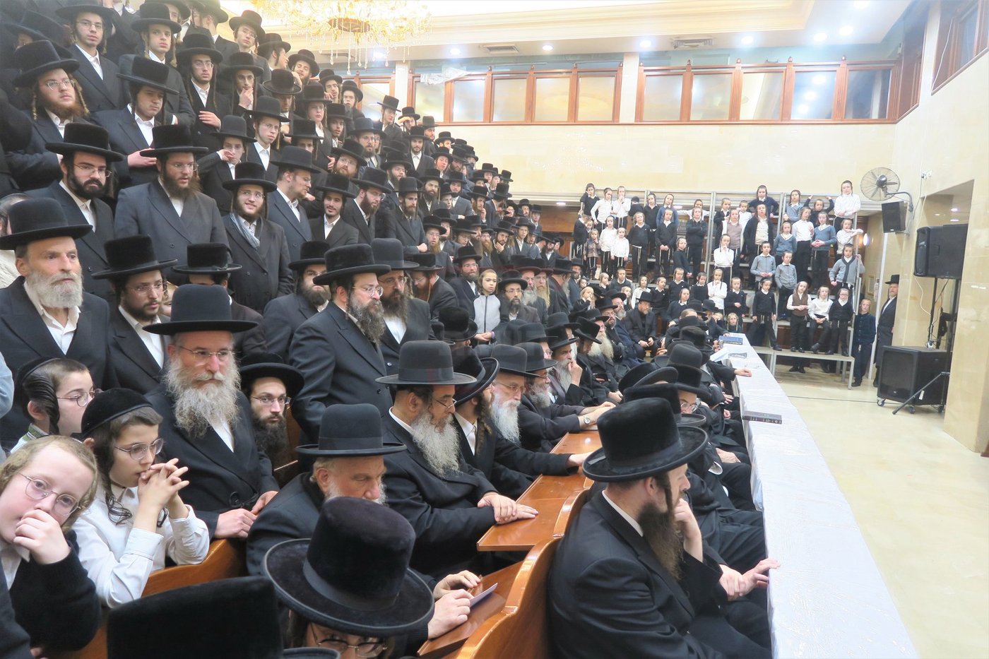 חנוכה בחצה"ק שבט הלוי