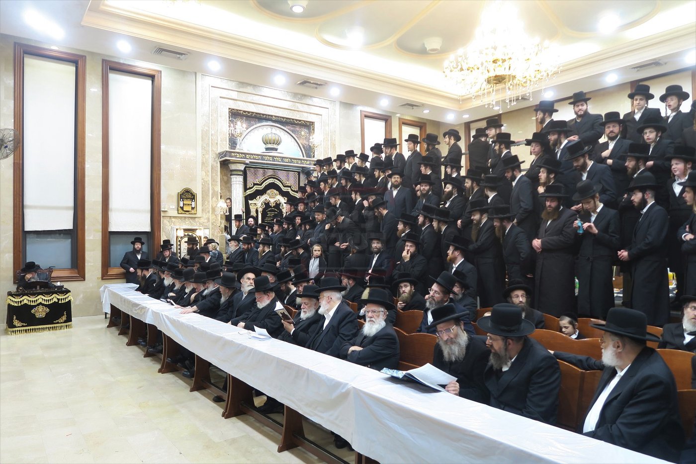 חנוכה בחצה"ק שבט הלוי