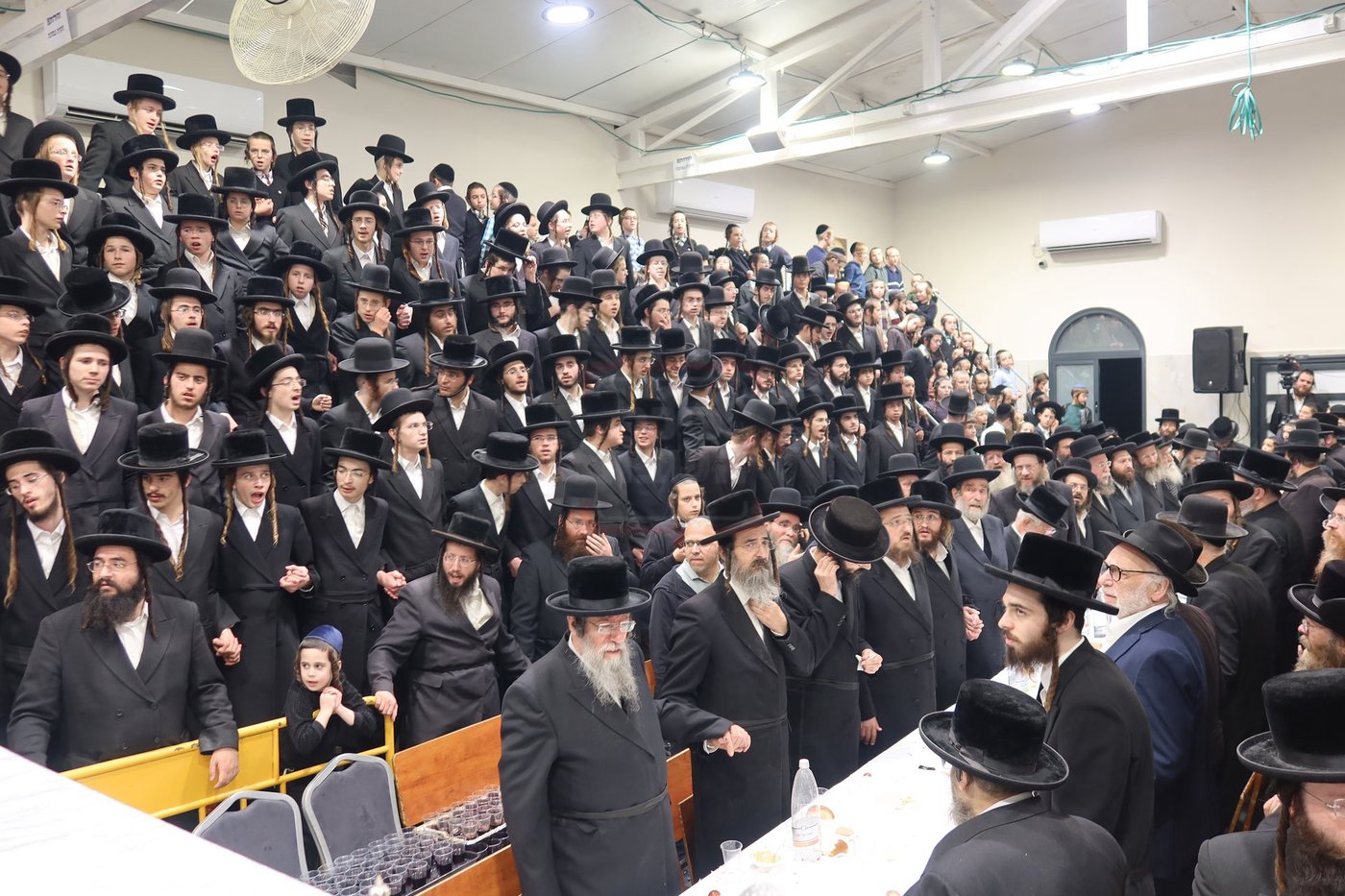 זאת חנוכה בחצה"ק זוויעהיל