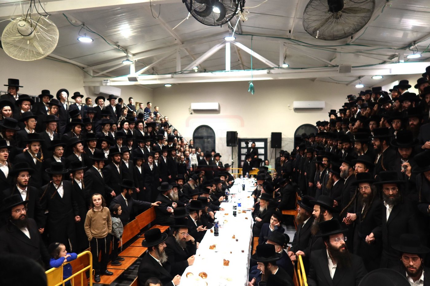 זאת חנוכה בחצה"ק זוויעהיל