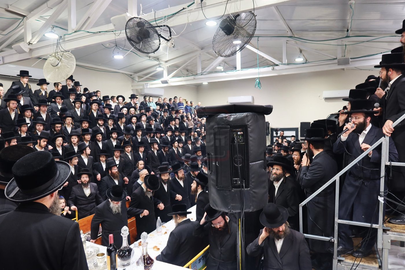 זאת חנוכה בחצה"ק זוויעהיל