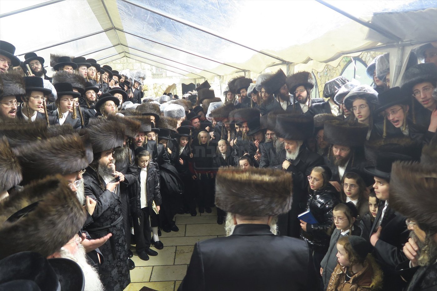 האדמו"ר מדארג באתרא קדישא מירון