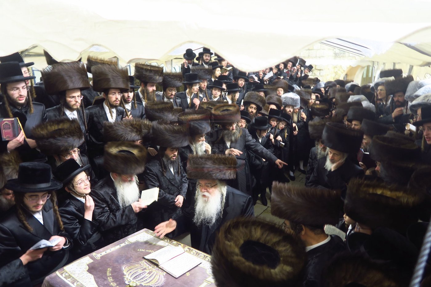 האדמו"ר מדארג באתרא קדישא מירון