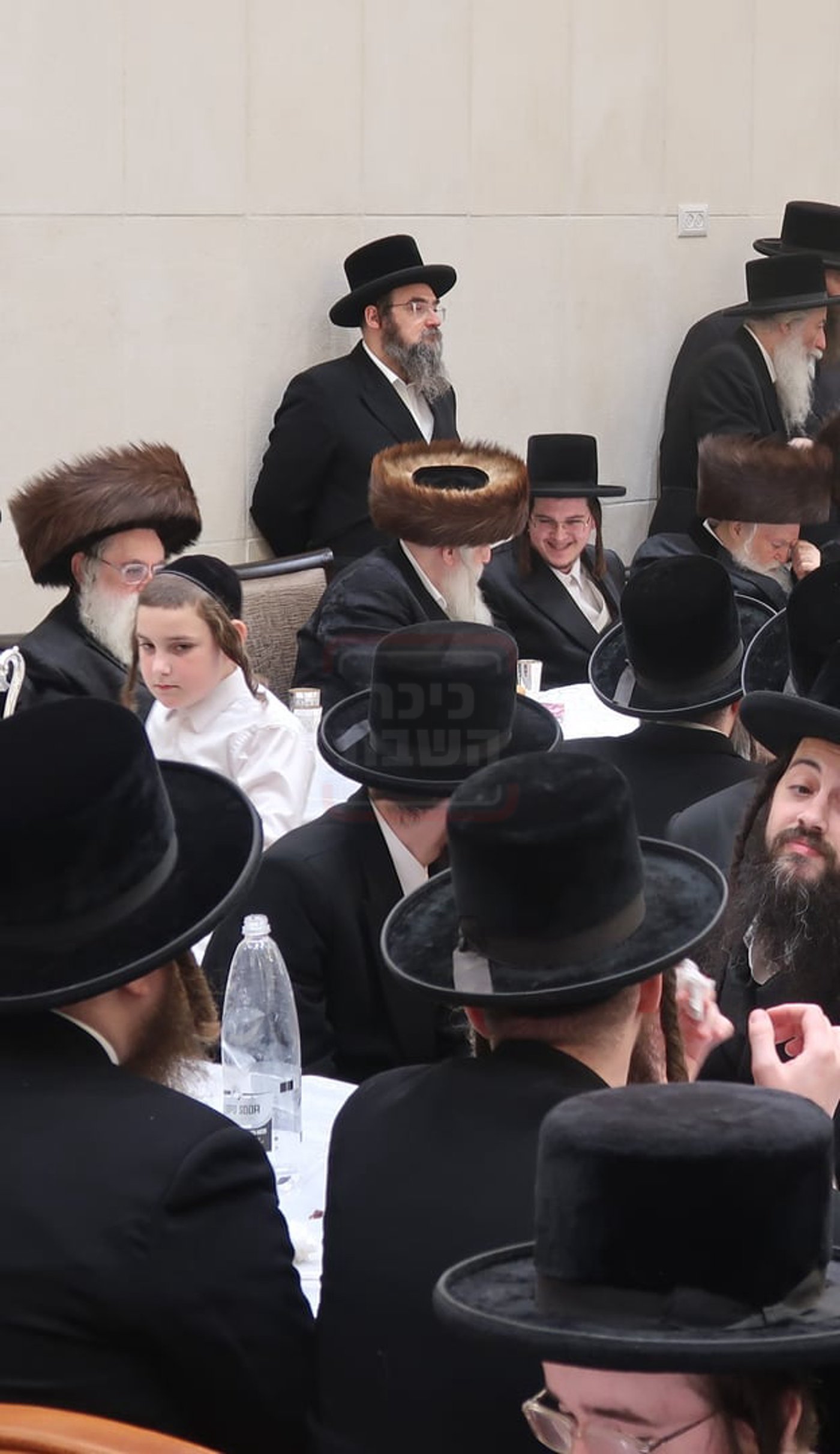 שמחת בית מכנובקא בעלזא - ראצפערט - האלמין