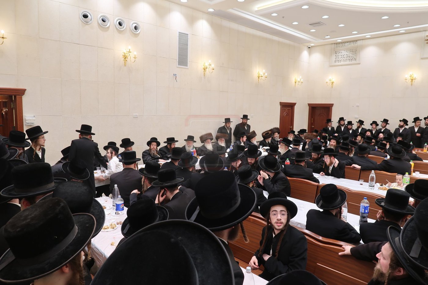 שמחת בית מכנובקא בעלזא - ראצפערט - האלמין