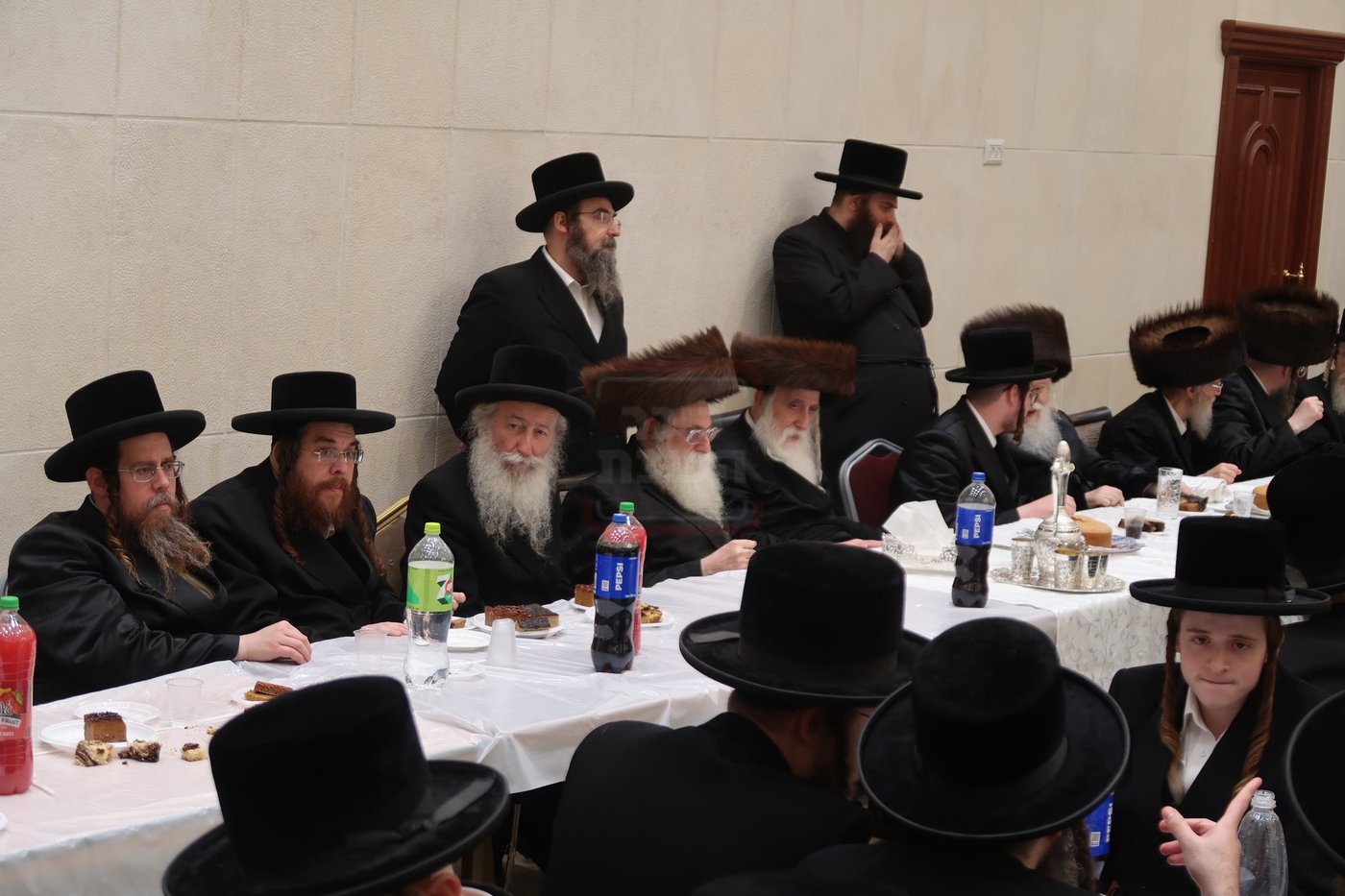 שמחת בית מכנובקא בעלזא - ראצפערט - האלמין