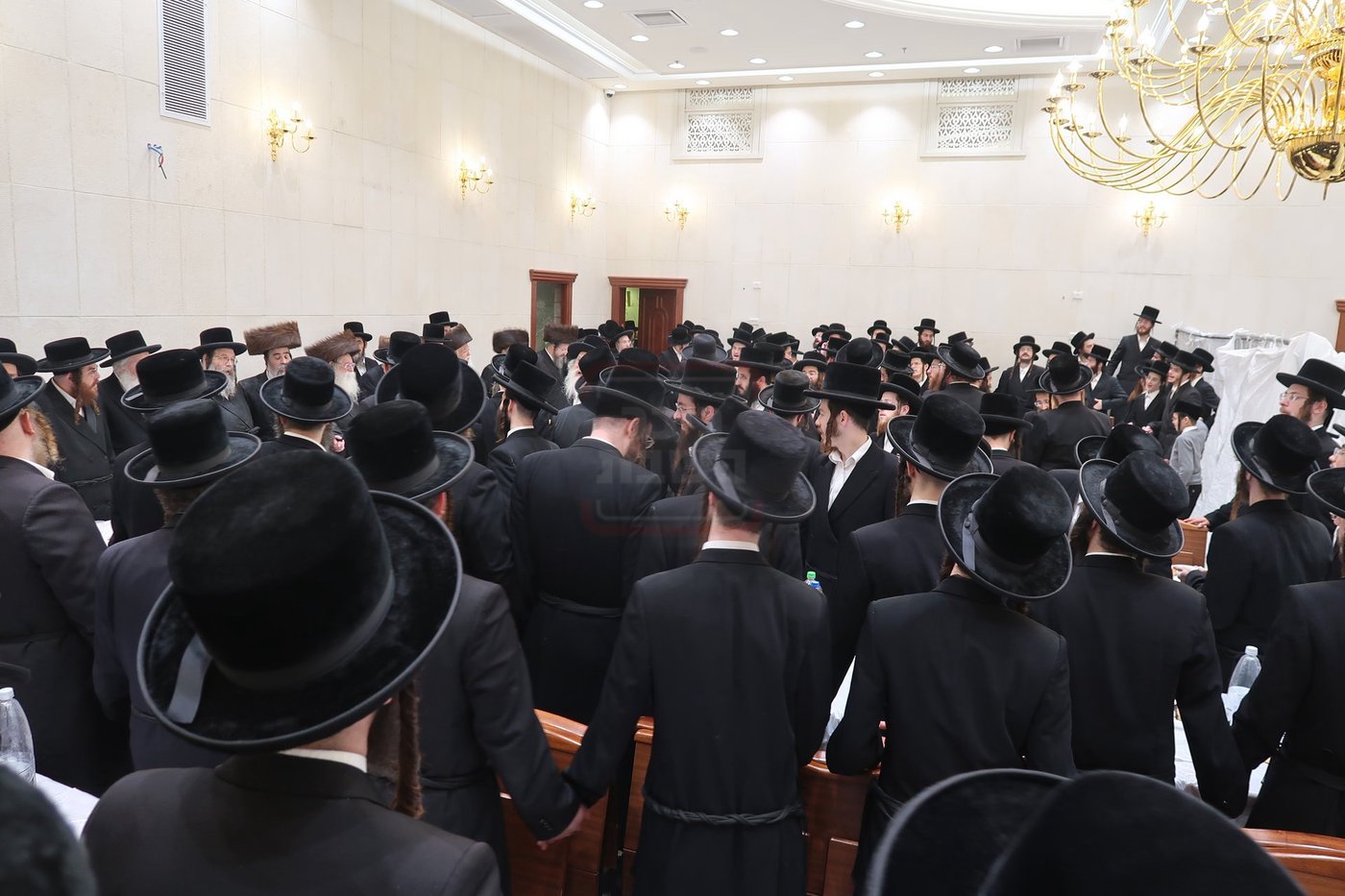 שמחת בית מכנובקא בעלזא - ראצפערט - האלמין