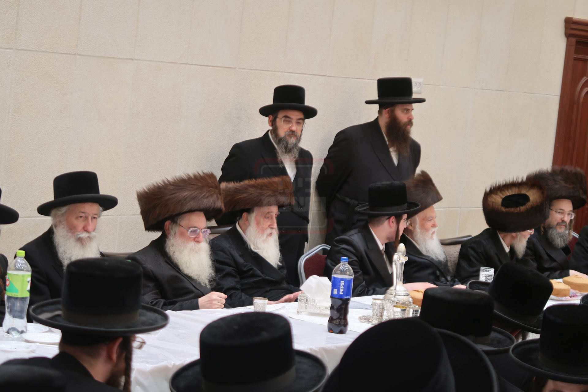 שמחת בית מכנובקא בעלזא - ראצפערט - האלמין