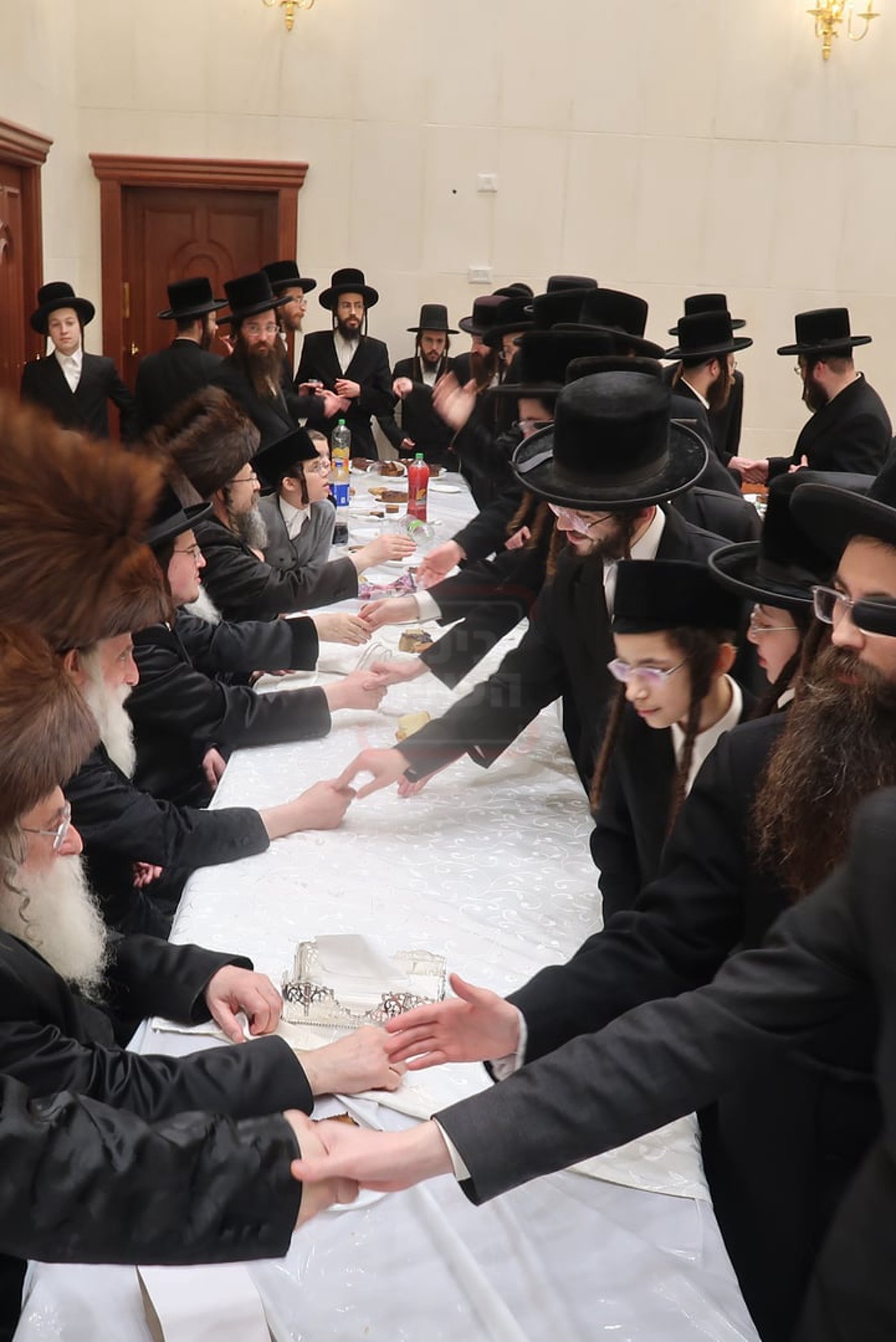 שמחת בית מכנובקא בעלזא - ראצפערט - האלמין