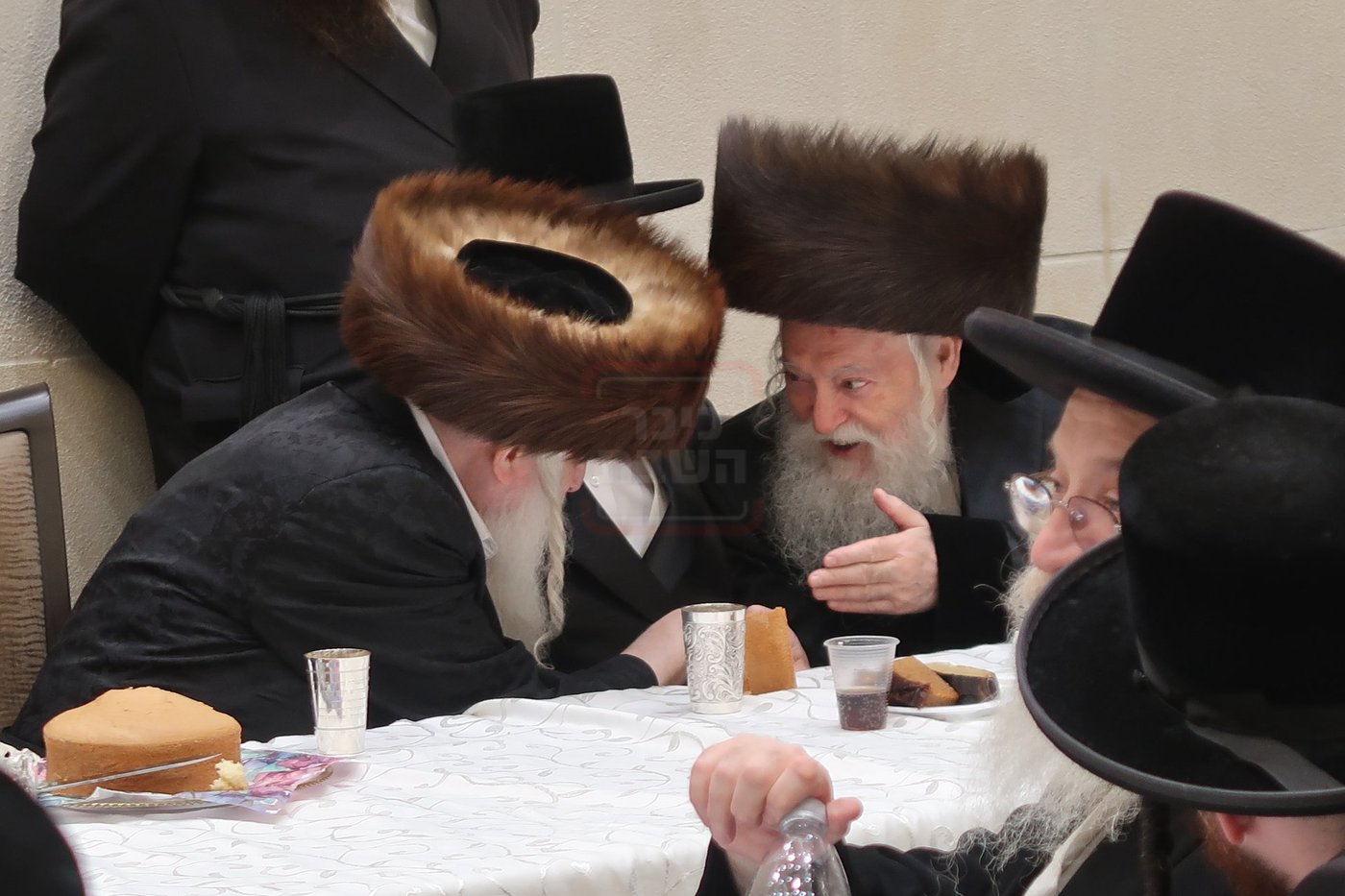 שמחת בית מכנובקא בעלזא - ראצפערט - האלמין